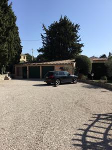 Cigales sous oliviers