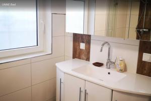 Birkenblick Ferienwohnung Unne