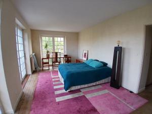 Villas Magnifique 16 pers proche plage St-Jean : photos des chambres