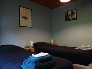 Maisons de vacances Le Renard des Vosges : photos des chambres