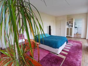 Villas Magnifique 16 pers proche plage St-Jean : photos des chambres