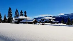 Stallen - Torvikbukt