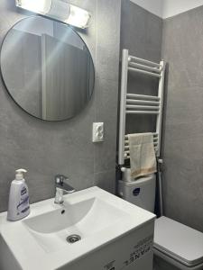 Adela Luxury House Craiova Near Christmas Market