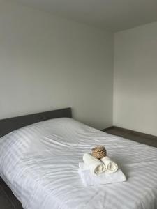 Appartements Appartement moderne et spacieux avec terrasse privee 1 : photos des chambres