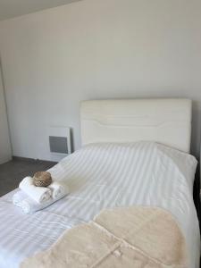 Appartement moderne et spacieux avec terrasse privée 2