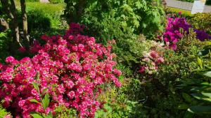 4 Sterne Ferienhaus Marlene mit großem Garten