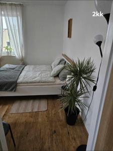 Ubytování v soukromí