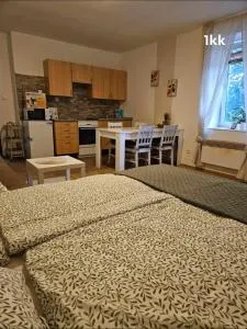 Ubytování v soukromí - Žireč