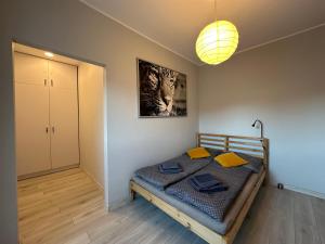 Emerald Apartament przy deptaku