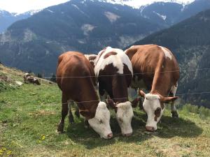Urlaub am Steininggut