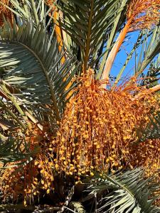 Casa Benissima - Villa with large swimming pool and sea view - Benissa
