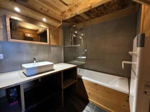 Chalets Chalet La Tarine - Maison individuelle renovee a St Martin de Belleville MAE-4804 : photos des chambres