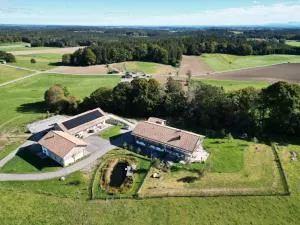 Hof Kaltenbrunn - 费尔德基尔兴-韦斯特拉姆