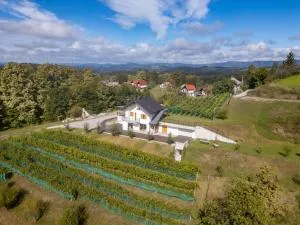 Zidanica sredi dolenjskih gričev - V gaj - 特贝尔诺