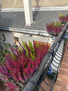 Maisons de vacances Champoiseau : photos des chambres