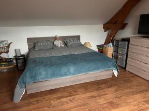 B&B / Chambres d'hotes LE PERRIER Chambres d-hotes : photos des chambres