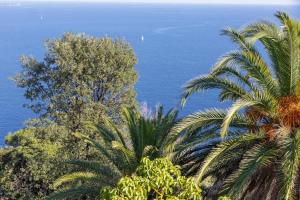 Villas Villa Oneiro, vue imprenable a Theoule-sur-mer : photos des chambres