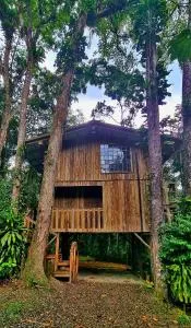 Casa da Árvore - Jussara Cultural - Pirabeiraba