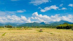 เดอนาปัว วิลล่า