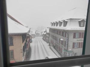 Zentral I 20Min nach Interlaken