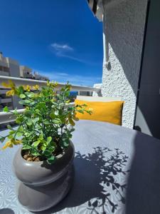 524 Ocean Dreams Las Americas