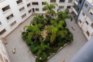 Charmant Appartement au Centre dAgadir