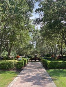 Cozy New Place Kisime Reunion