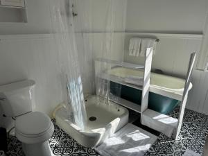 Haslett House - A Gilded Age Estate