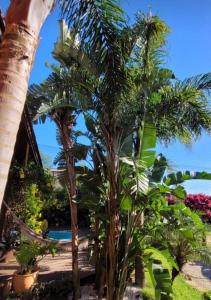 Linda casa para o Réveillon