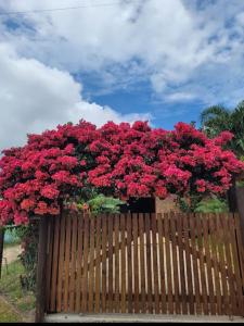 Linda casa para o Réveillon