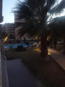 شقه ايجار مفروش اكتوبر