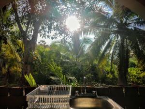 Casa pájaros- Habitación Colibri