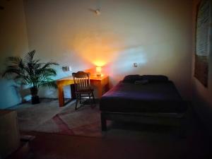 Casa pájaros- Habitación Colibri