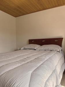 Macadamia Apartamento 201