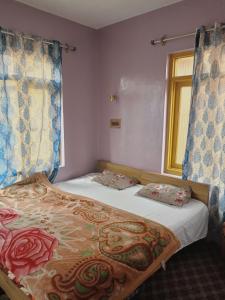 Queen Palace guest house