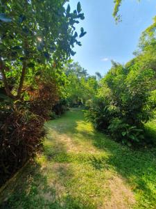 Minds Homestay มายด์โฮมสเตย์