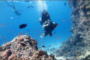 Juliana Beach Resort AG01