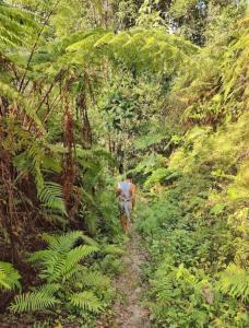 Luxury Villa Appartment in Ubud Tranquil Jungle
