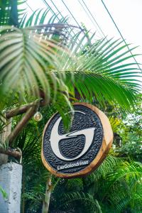 Las Golondrinas Ayampe