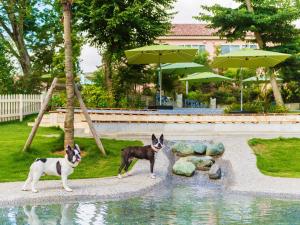 Koyaru-no-sato Doggys Island