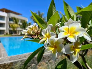 Turquoise Appart standing 2Ch Sdb, proche plages