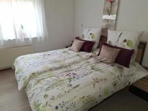 Bett & Bike Gästehaus Hoogstede - Neuringe