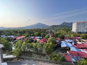 Mountain View 605
