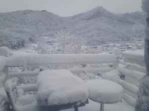 yangpyeong live healing pension