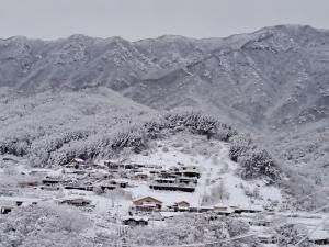 yangpyeong live healing pension