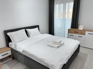 Unique Cozy Penthouses with Terrace and Suceava Magic View