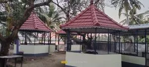 Cruise 'N Lake - Alleppey