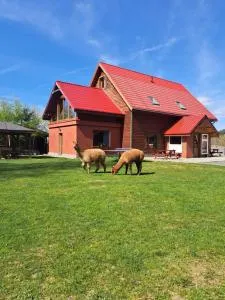 Gospodarstwo Zacisze-Alpaki - Szarocin