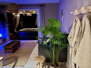 Logement de charme en Provence