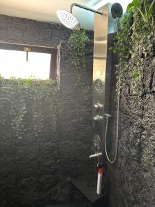 Luxury Canarian villa with large pool and guesthouse